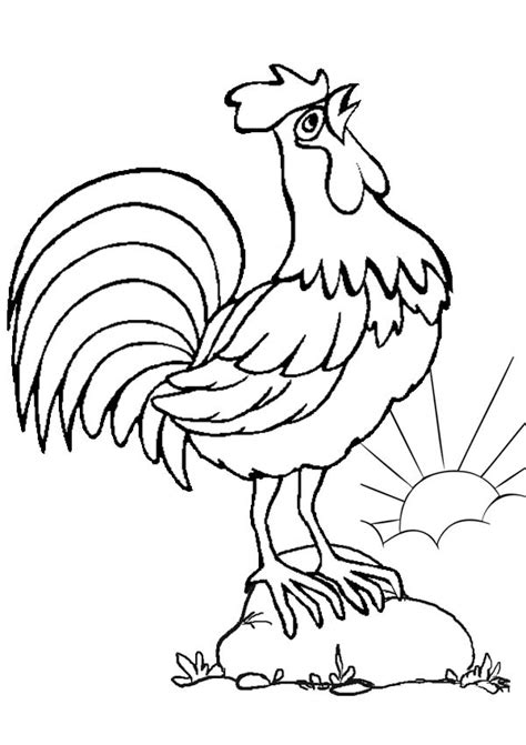 Portuguese rooster coloring page pages template. The Crowing Rooster Coloring Page : Coloring Sky