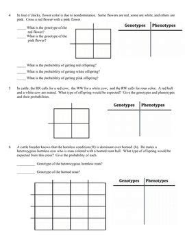 You get a free question just be sure to draw it on your paper and answer below what it would look like. Monohybrid Cross Practice Problems Worksheet Answers - worksheet