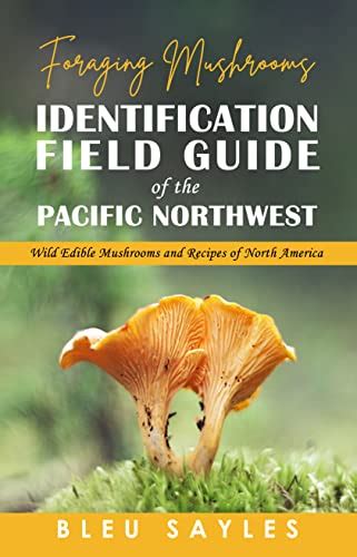 Top 10 Wild Mushroom Field Guides Of 2023 Best Reviews Guide