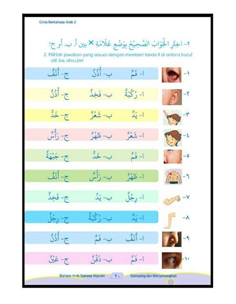 Detail Gambar Anggota Tubuh Dalam Bahasa Arab Koleksi Nomer 23