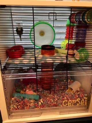 Qute Hamster Cage Hamster House Hamster Cage Gerbil