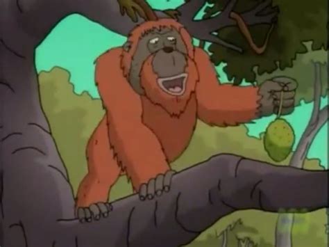 Orangutan Wild Thornberrys Wiki Fandom Powered By Wikia