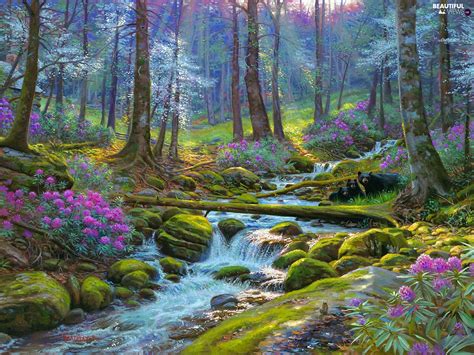 Flowers Stones River Stream Forest Beautiful Views