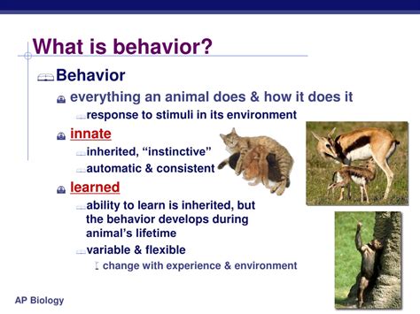 Ppt Animal Behavior Powerpoint Presentation Free Download Id9516159