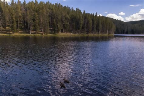 Sibley Lake Bighorn Mountains Wyoming Usa © 2010 Patrick Alan