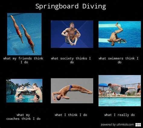 Scuba diving Memes #divingboardconcepts | Diving quotes, Diving