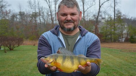 State Record Yellow Perch Caught In Crossville