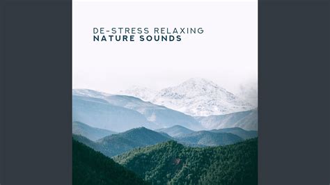 Keep Calm With Nature Sounds Youtube