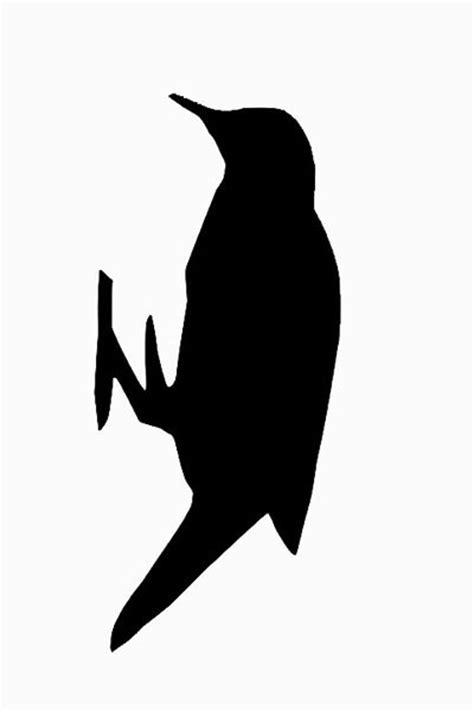Woodpecker Silhouette At Getdrawings Free Download