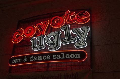 Vegas - Coyote Ugly (NY NY) Coyote Ugly Las Vegas, Coyote Ugly Bar