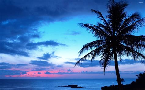 Blue Sunset Wallpapers Top Free Blue Sunset Backgrounds Wallpaperaccess