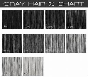 Shades Of White Gray Hair Color Charts