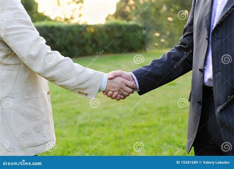Mens Handshake Stock Image Image Of Achievement Handshake 15581589