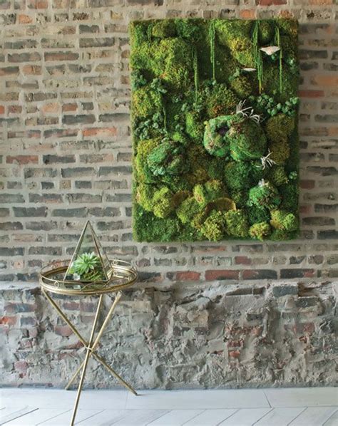 How To Build A Decorative Moss Wall Air Plants Diy Vertical Garden