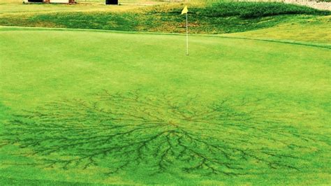 Lightning Strikes A Golf Course Green And Leaves A Major Mark The
