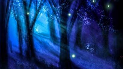 Forest Night Trees Background 1080p Hdtv Fhd