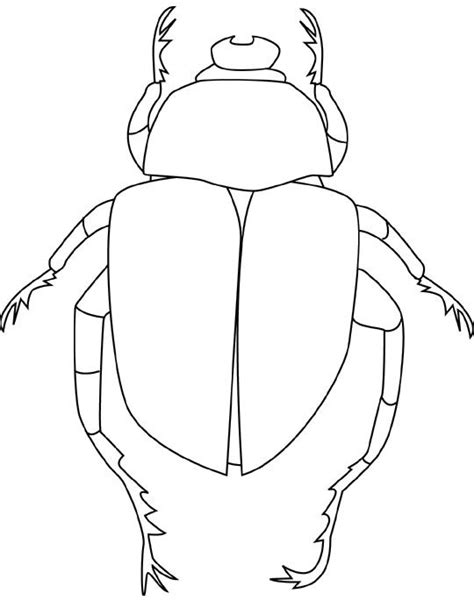 Enjoy these free coloring pages to color, paint or crafty educational projects for toddlers, preschoolers, elementary school grade, and the young at heart. Pincoloring.com | Coloring pages, Bug art, Bugs drawing