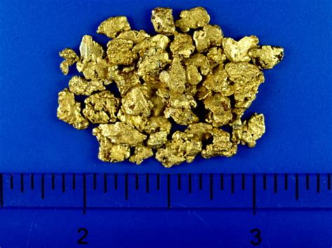 Gold at $10/ounce in the ground! A Quarter Ounce of Alaskan Placer Gold for Sale - Natural Gold Nuggets
