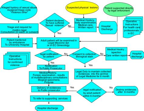 Flow Chart Of Procedure For Taking Care Of Alleged Victim Within