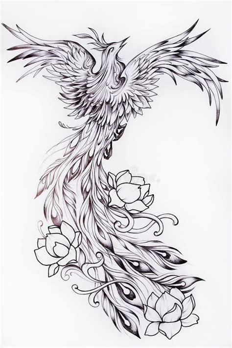 Black And White Sketch Of A Beautiful Phoenix With Flowers Stock