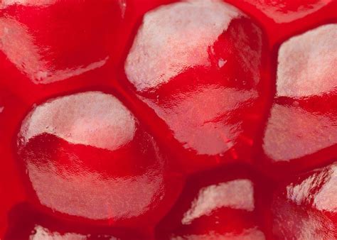 Can You Guess These Foods From Their Extreme Close Ups