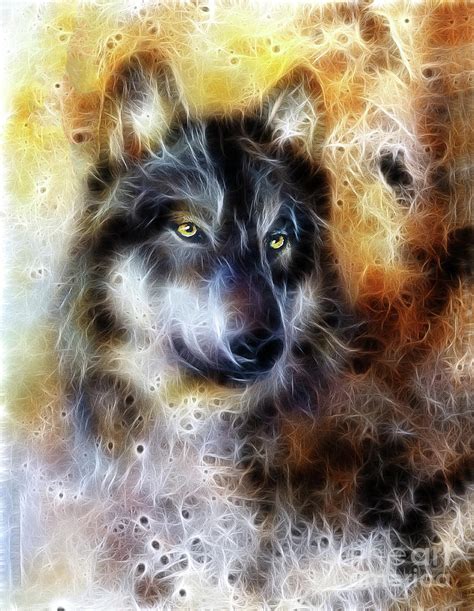 Wolf Color Abstract Background Multicolor Illustration And Fractal