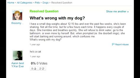 Yahoo Answers Trolling Funny Stupid Questions/Answers Dumb ...