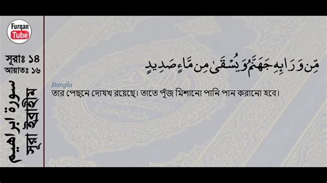 Surah Ibrahim With Bangla Translation Recited By Mishari Al Afasy Youtube