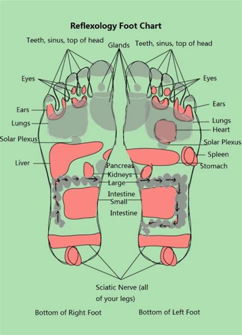 Reflexology Foot Chart Picture