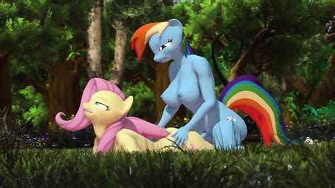 Sex As A Workout With Rainbow Dash X Fluttershy Mlp Eporner