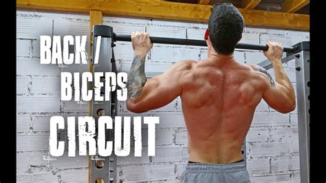 back and biceps workout circuit calisthenics training youtube