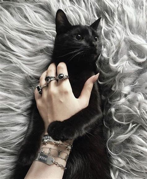 Pin By Negasi ♥ On Caturday In 2020 Black Cat Aesthetic Cat