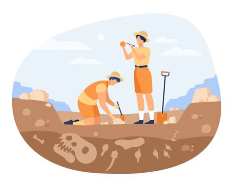 Archaeology Illustrations Royalty Free Vector Graphics And Clip Art Istock