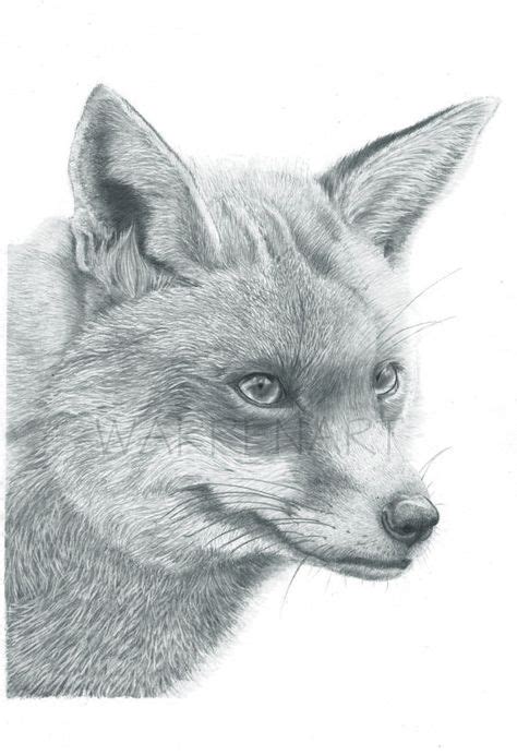 Red Fox Art Print Hand Drawn Animal Pencil Drawing A4 A5 Sizes