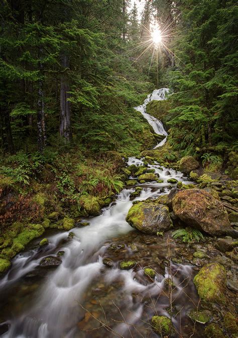 Sun Over Forest Creek And Waterfall Photograph By Michael Riffle Pixels