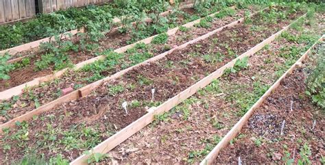 How To Build A Raised Garden Bed On Slope Hanaposy