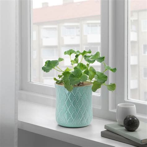 Sparrisknopp Plant Pot Light Blue Ikea In 2020 Pot Lights Indoor