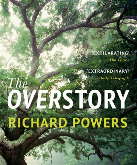 review of the overstory by richard powers westerly magazine