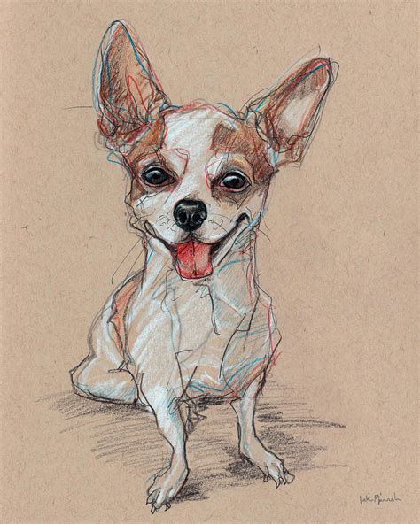 Chihuahua Sketch Davis 8x10 Pencil Colored Pencil And Ink On Tan