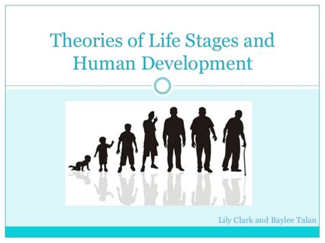 ️ Various Stages Of Human Development Stages Of Development 2019 01 11