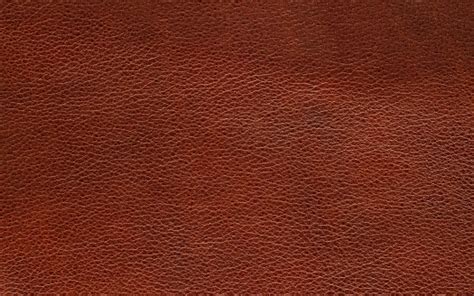 Brown Leather Skin Texture Stock Photo Download Image Now Istock