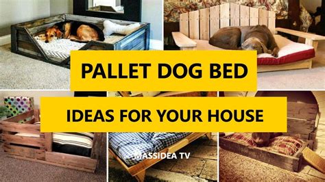 60 Cool Diy Pallet Dog Bed Ideas For Your House 2017