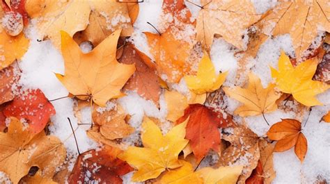 Winter Wonderland Autumn Leaves On A Snowy Texture Background