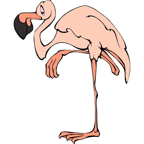Cartoon Flamingo Png Svg Clip Art For Web Download Clip Art Png