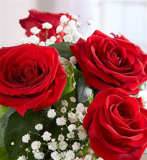 An Ultimate Elegance 24 Long Stem Red Roses Arranged By A Florist In