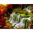 Cascade Falls Autumn Forest Red Leaves Sunlight Desktop HD Wallpaper 