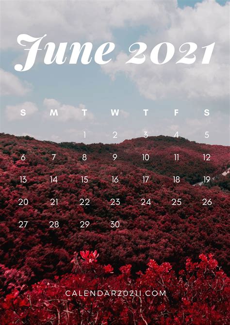 If you don't have a cat, you may not get what all the fuss is about. June 2021 Desktop Calendar Wallpaper - Calendar 2021