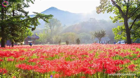 Beautiful South Korea Landscape In 4k Uhd Timelapse On Vimeo