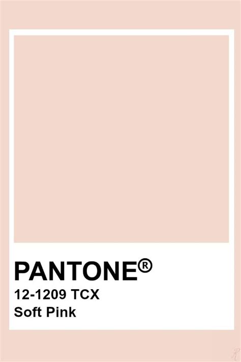 Pastel Pink Pantone Color Swatch Magnet For Sale By Softlycarol