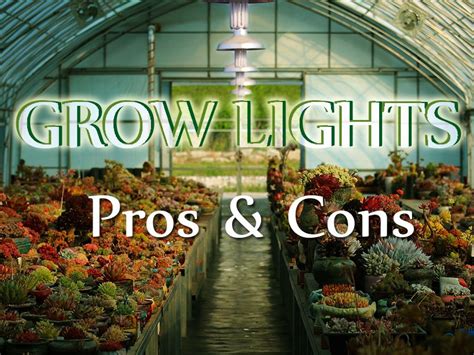 Read our hydroponics buyer's guide. What Grow Lights to Use For Hydroponics — 1000Bulbs.com ...